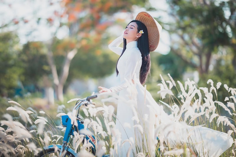 Whimsical Ensemble